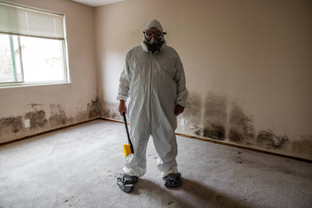 Best Mold Inspection  in Thompsonville, CT
